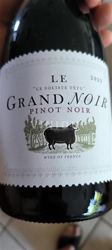 Linguadoca Non specificato Le Grand Noir Le Soliste Têtu 2023