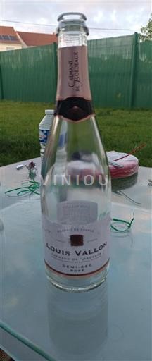 Bordeaux Crémant di Bordeaux Louis Vallon Senza annata