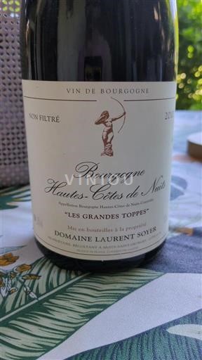 Borgogna Hautes Côtes de Nuits Domaine Laurent Soyer Les Grandes Toppes 2010
