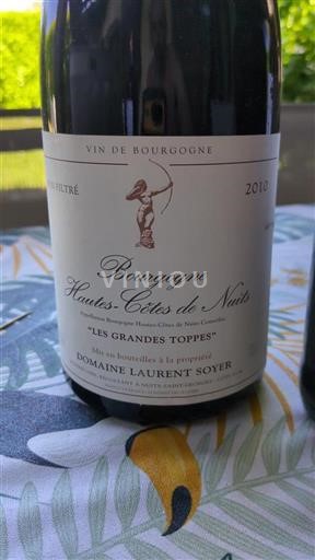 Vin Rouge sec Les Grandes Toppes Domaine Laurent Soyer 2010 France Bourgogne