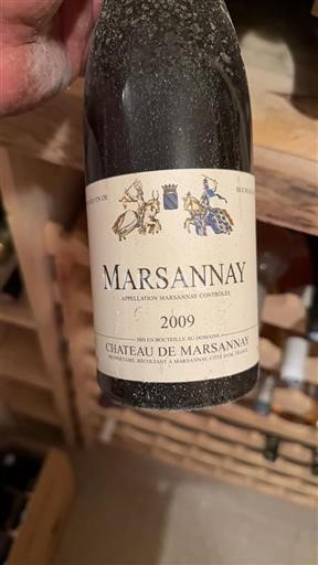 Burgundsko Marsannay Château Marsannay 2009