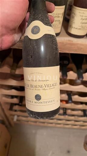 Borgogna Côte de Beaune Villages André Montessuy 2007