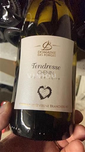 Vin Blanc sec Tendresse Domaine Des Forges 2024 France Vallée de la Loire