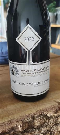 Bourgondië Bourgondische heuvels Maurice Gavignet 2022