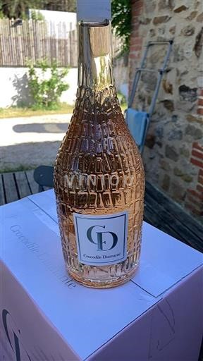 Provenza Non specificato Crocodile Diamanté Senza annata