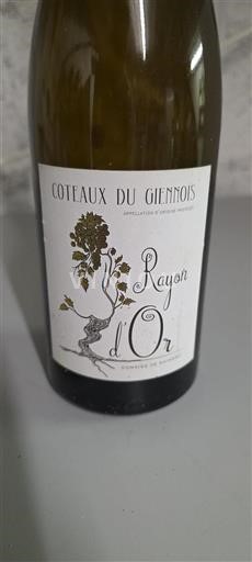 Valle della Loira Coteaux-du-giennois Domaine Maimbray Rayon d'Or 2020