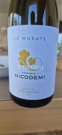 Abruzzo Not Specified Fattoria Nicodemi Le Murate 2024