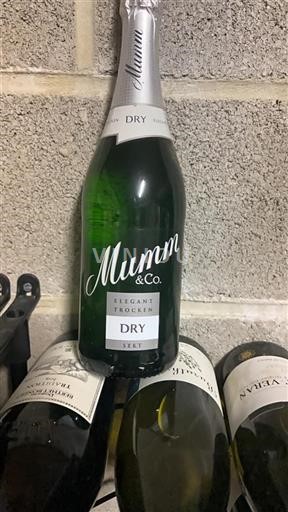 Rheingau Ni doloceno Mumm & Co Elegant Trocken 2022