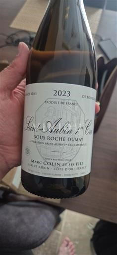 Borgogna Saint-Aubin Premier Cru Marc Colin et ses Fils Sous Roche Dumay 2023