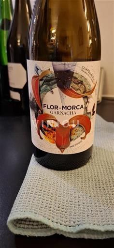 Aragonien Campo de Borja Flor de Morca 2022