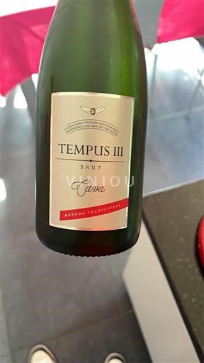 Vin Effervescent Blanc brut Tempus III Non millésimé Espagne Catalogne