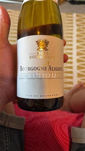 Burgund Bourgogne Aligoté Signé Bourgogne 2022