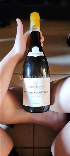 Borgogna Borgogna Côte d'Or Nuiton-Beaunoy 2022