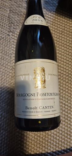 Vin Rouge sec Benoît Cantin 2018 France Bourgogne Bourgogne-passetoutgrain