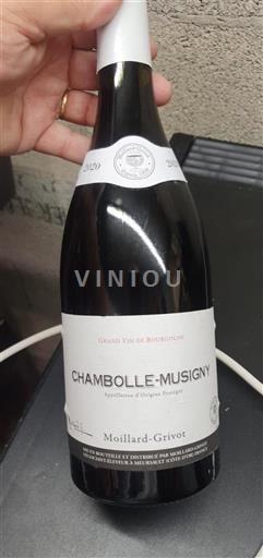 Bourgogne Chambolle-Musigny Moillard-Grivot 2020