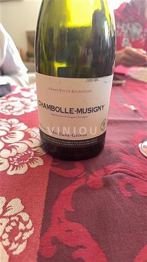 Burgundy Chambolle-Musigny Moillard-Grivot 2020