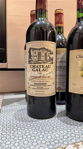 Bordeaux Côtes-de-bourg Château Galau 2005