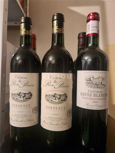 Bordeaux Saint-Émilion Grand Cru Grand Cru Château Reine Blanche 2009