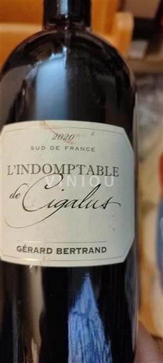 Languedoc og Roussillon Pays d'Oc Gérard Bertrand L'Indomptable de Cigalus 2020