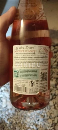 Vallée de la Loire Cabernet-d'anjou Plessis-Duval Non Millésimé