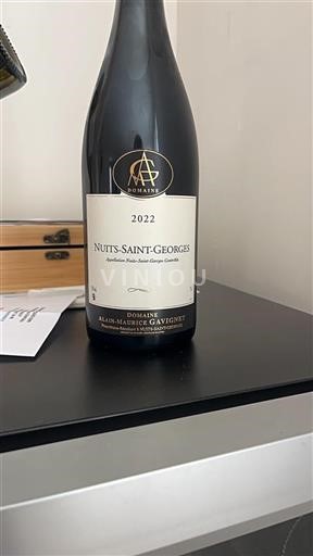 Bourgondië Nuits-saint-georges Domaine Alain-Maurice Gavignet 2022