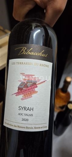 Valais Not Specified Bibacchus Les Terrasses du Rhône 2020