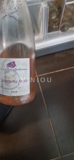 Valle del Loira Cabernet-d'Anjou Domaine Bodineau 2019