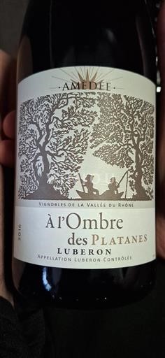 Valle del Rodano Luberon Amédée À l'Ombre des Platanes 2016
