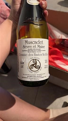 Valle della Loira Muscadet Sèvre et Maine Domaine Des Hautes Noëlles 2023