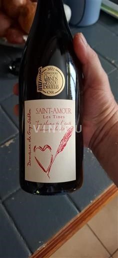 Beaujolais Saint-Amour Domaine Gry-Sablon Les Tines 2020