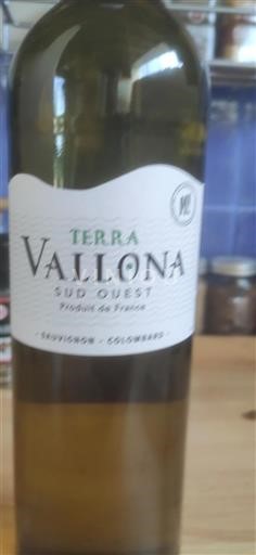 Vin Blanc sec Terra Vallona 2024 France Sud-Ouest IGP