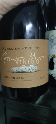 Valle della Loira Bourgueil Aurélien Revillot Grand Mont 2018