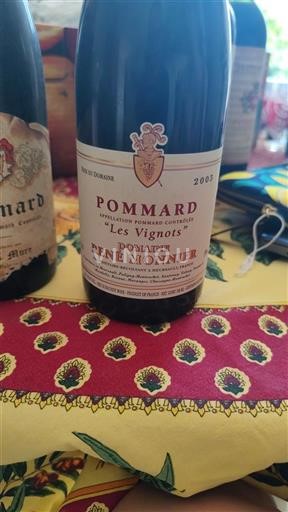 Borgogna Pommard Domaine René Monnier Les Vignots 2003