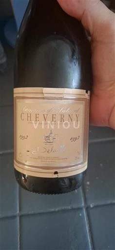 Vallée de la Loire Cheverny Domaine Salvard Delaille 1993