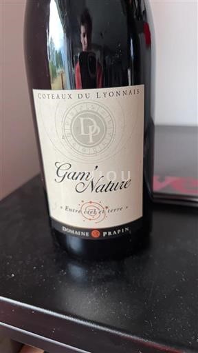 Lyonnais Coteaux du Lyonnais Domaine Prapin Gam'Nature Non-Vintage