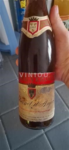 Vallée de la Loire Cabernet-d'anjou Pascal Verdier 1987