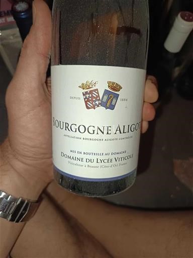 Borgogna Borgogna Aligoté Domaine Lycée Viticole Senza annata