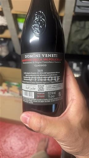 Wines of Veneto Amarone della Valpolicella Domini Veneti Classico 2019