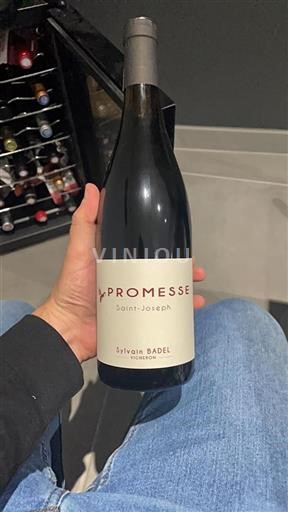 Rhônedalen Saint-Joseph Sylvain Badel Promesse 2022