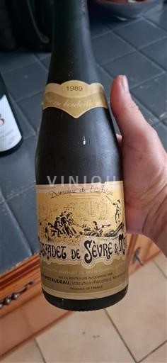 Vallée de la Loire Muscadet-sèvre-et-maine Domaine L'Arce 1989