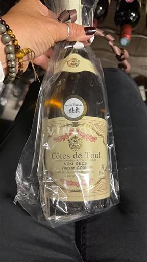 Lorraine Côtes de Toul Vincent Gorny 2022