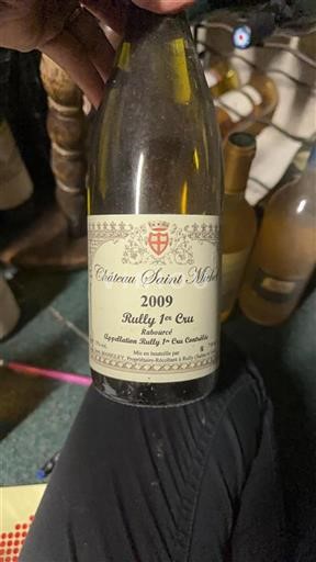 Borgoña No especificado Premier Cru Saint Michel Rabourc%c3%a9 2009