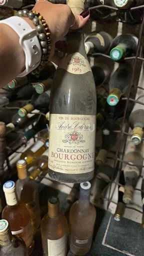 Bourgondië Bourgogne André Delorme 1985