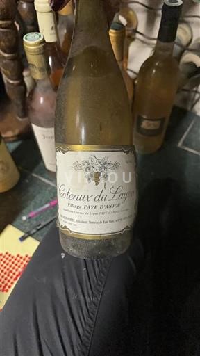 Valle della Loira Coteaux-du-Layon Domaine Haut Mont Village Faye d'Anjou Senza annata