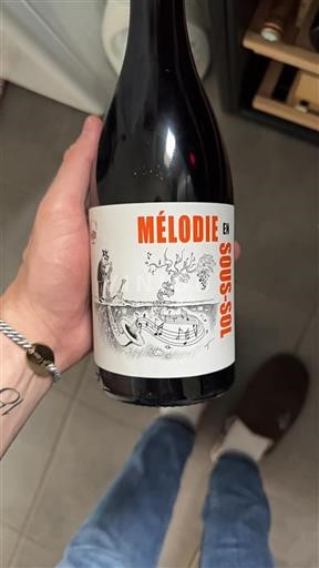 Valle del Loira Touraine Domaine La Bohème Mélodie en Sous-Sol 2022