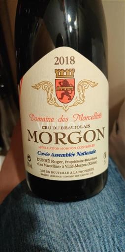 Beaujolais Morgon Domaine Des Marcellins Assemblée Nationale 2018