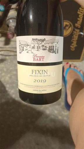 Borgogna Fixin Domaine Bart 2019