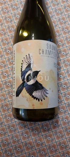 Vallée de la Loire Saumur-champigny La Croix Pie Chaux 2022