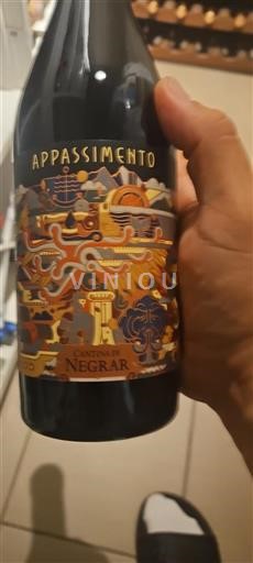 Vin Rouge sec Appassimento Cantina di Negrar 2023 Italie Vénétie