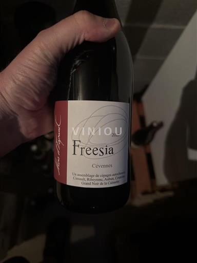 Languedoc og Roussillon Cévennes Freesia 2023